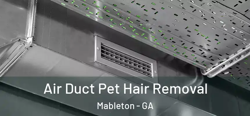  Air Duct Pet Hair Removal Mableton - GA