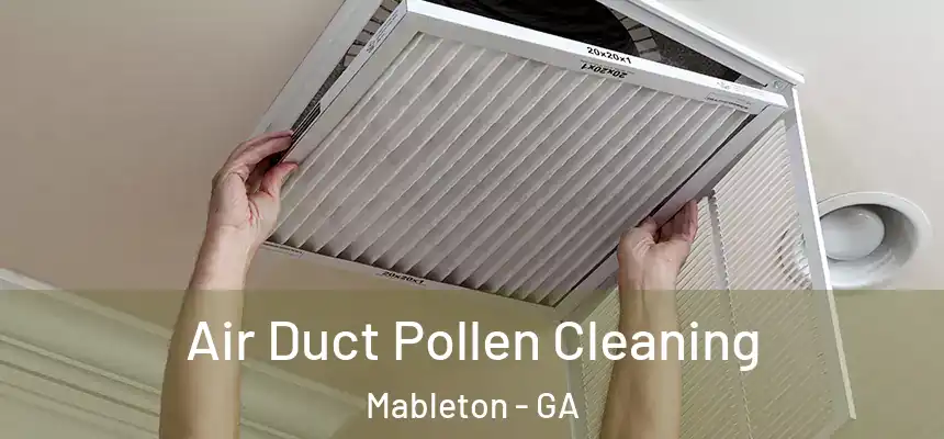  Air Duct Pollen Cleaning Mableton - GA