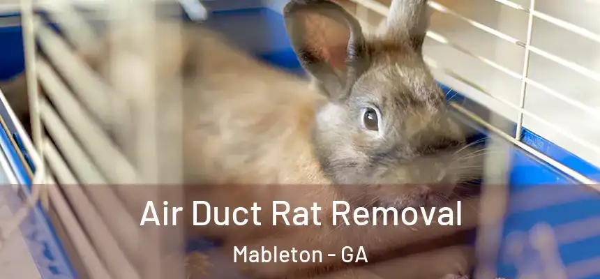  Air Duct Rat Removal Mableton - GA