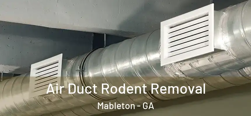 Air Duct Rodent Removal Mableton - GA