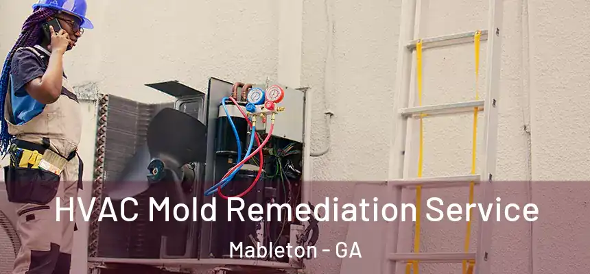  HVAC Mold Remediation Service Mableton - GA