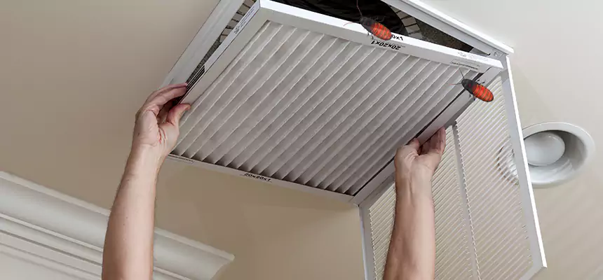 Preventive Cockroach-Proofing for Ducts in Mableton