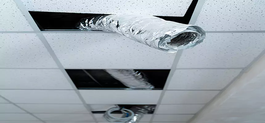 Affordable HVAC Sanitizing After Pest Removal in Mableton