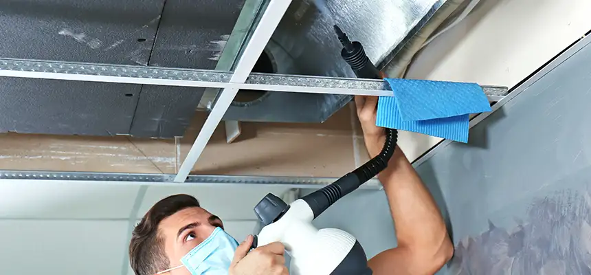 Our Air Duct Rodent Removal Services in Mableton, GA
