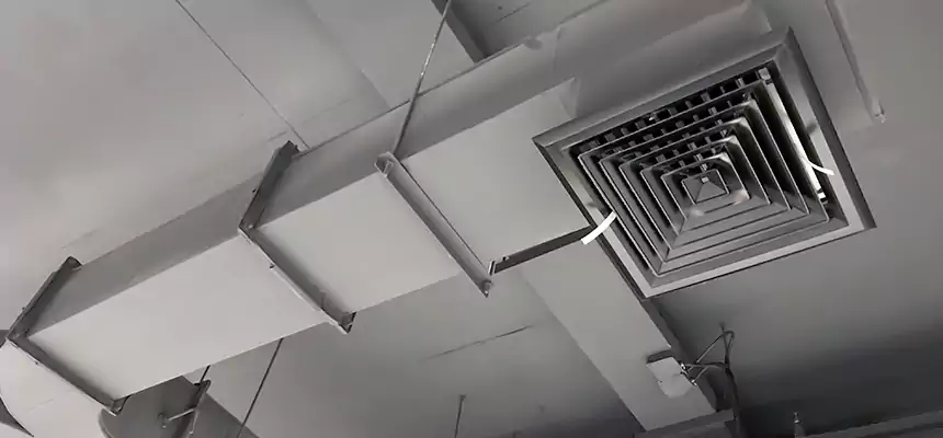 Restorative Allergy Relief Vent Cleaning – Coil, Blower & Housing Detail in Mableton