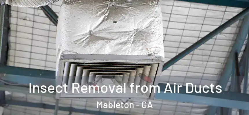 Insect Removal from Air Ducts Mableton - GA