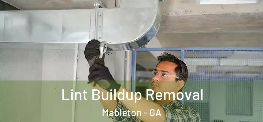  Lint Buildup Removal Mableton - GA