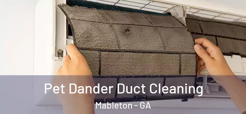  Pet Dander Duct Cleaning Mableton - GA
