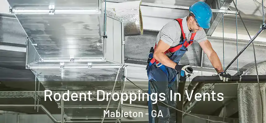  Rodent Droppings In Vents Mableton - GA