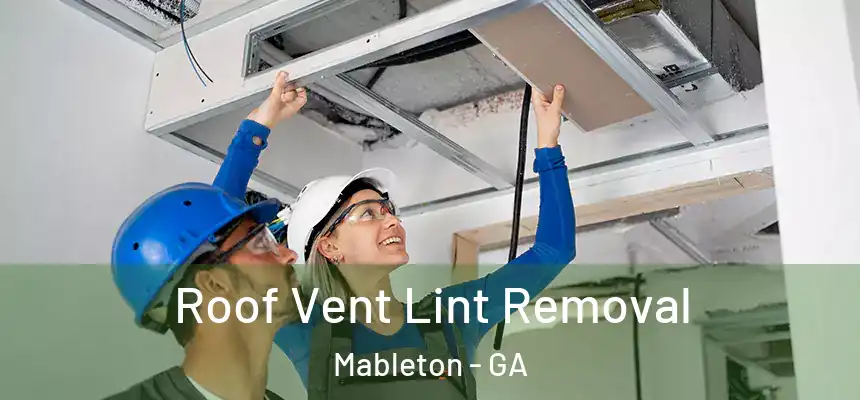  Roof Vent Lint Removal Mableton - GA
