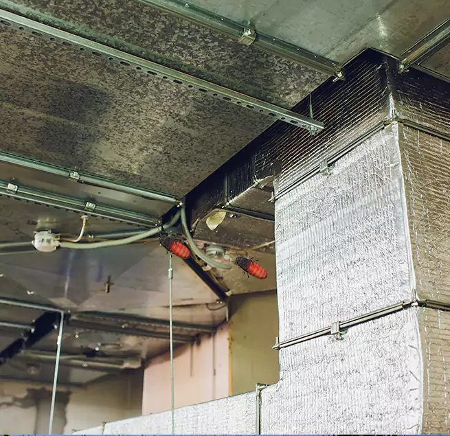 Why Homeowners & Businesses Trust Us in Mableton, GA?