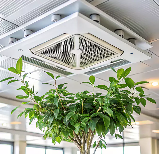 Why Homeowners & Businesses Trust Us in Mableton, GA?